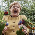 Socialiniuose tinkluose plinta nuotaikingos Merkel nuotraukos