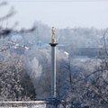 Klaipėda Naujųjų išvakarėse užgesins eglę, Šiauliai siūlo laikiną draudimą palikti namus