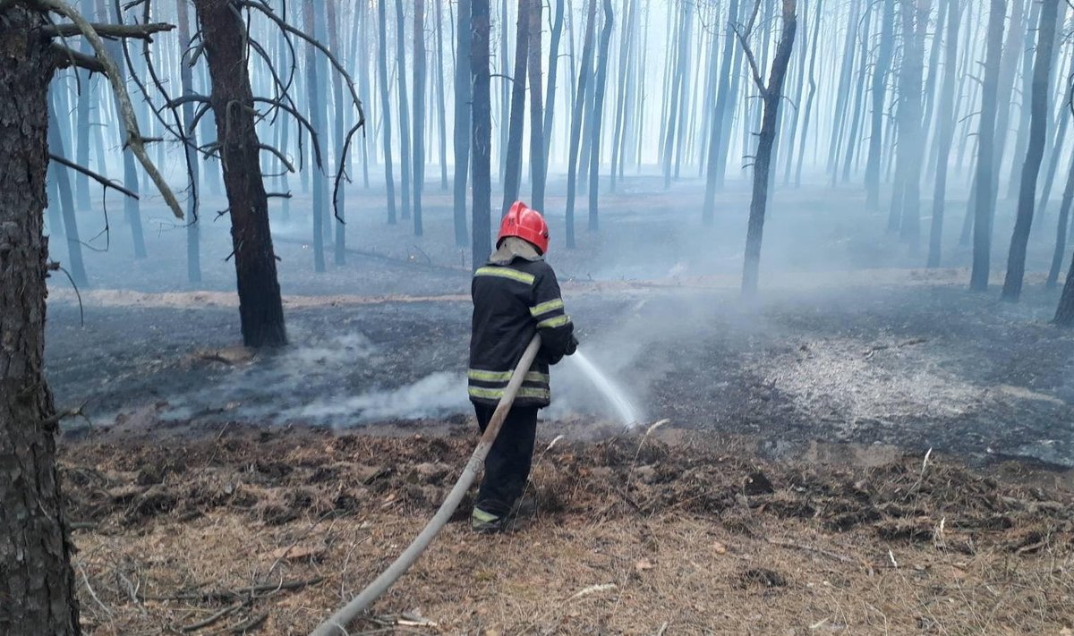Ukrainos Luhansko srityje miškų gaisrai apsiautė 11 gyvenviečių, 4 žmonės žuvo