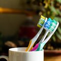 11 faktų apie burnos higieną, kuriais būtina kasdien vadovautis