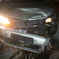 Kelyje Vilnius-Panevėžys į kelią išbėgęs briedis sukėlė masinę avariją