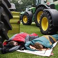 Baltijos šalių ir Suomijos ūkininkai Briuselyje prašo didesnės paramos