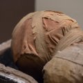 Išaiškinta garsiosios šveicarų mumijos paslaptis: tarp jos tiesioginių palikuonių – žymus politikas