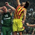 Eurolyga: „Lokomotiv-Kuban“ laimėjo Belgrade, „Panathinaikos“ suklupo namuose