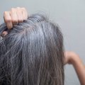 Mokslininkai nustatė, kodėl nuo streso pražilsta plaukai: atrado galimybių, kaip šį procesą sustabdyti