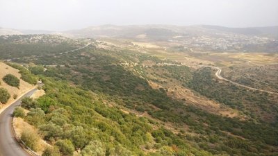 Golano aukštumos