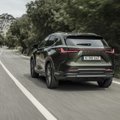 „Euro NCAP“ saugumo bandymuose „Lexus NX“ pelnė aukščiausią įvertinimą