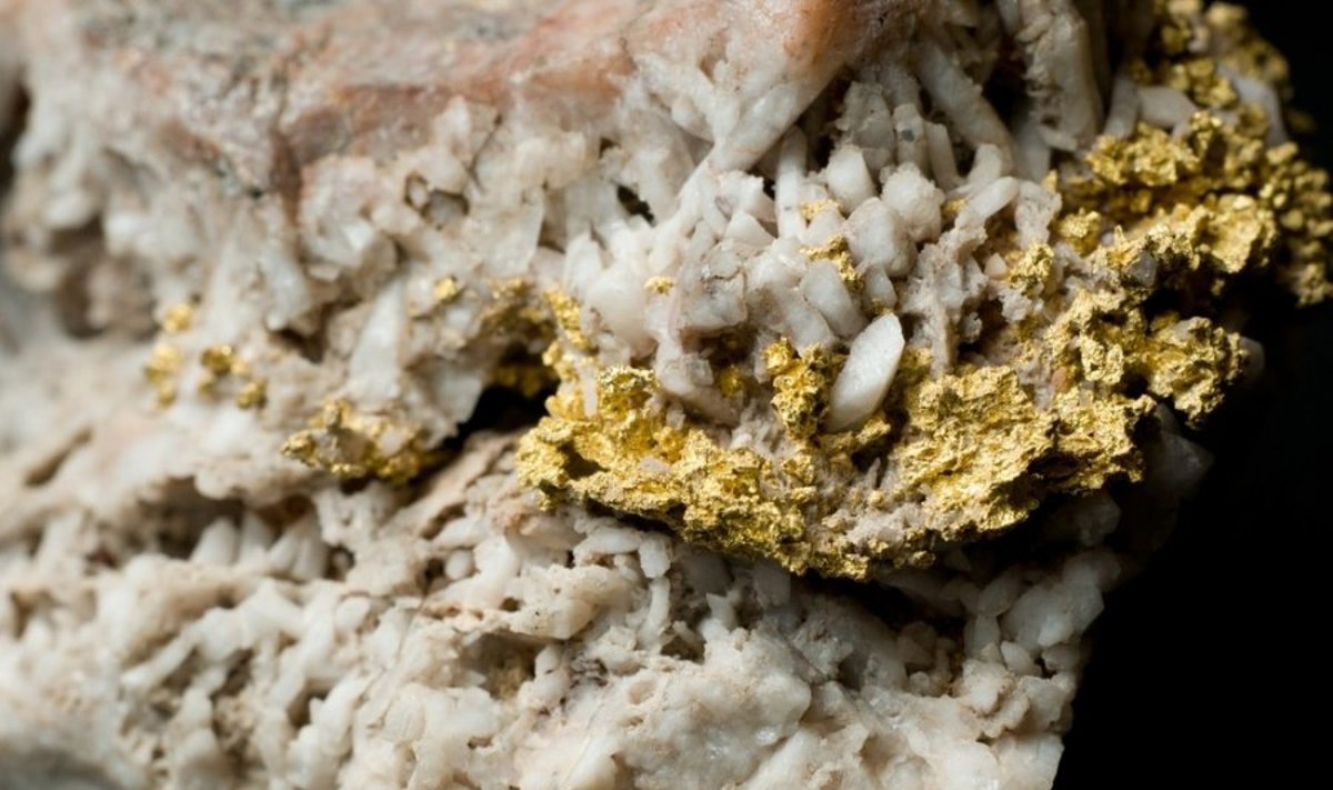 Aukso gysla. Lietuvos smėlio karjeruose esančio aukso plika akimi įžiūrėti neįmanoma