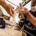 „Vargšų kokainu“ pramintas narkotikas kelia nerimą Europai: išplitusiose šalyse situacija tragiška