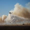 Dėl miškų gaisrų JAV evakuota tūkstančiai žmonių, pranešama apie 30 metrų aukščio liepsnas