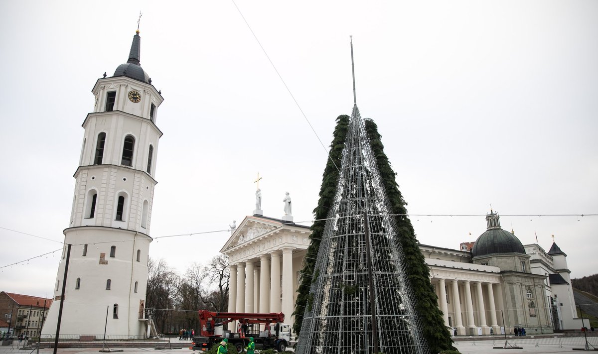 Katedros aikštėje statoma Kalėdų eglė