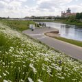 Aplinkos ministerija: Lietuvoje drastiškai mažėja pievų