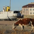 Aralo jūros tragedija – visos Centrinės Azijos problemų atspindys