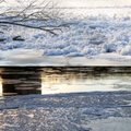 Lietuvoje ledu dengiasi didžiosios upės