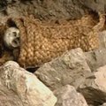 Peru ant kalno archeologai rado šimtų inkų kapavietę