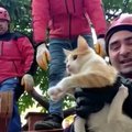 Hatajaus provincijoje išgelbėtas studentas paprašė iš griuvėsių išvaduoti jo katę Braškę