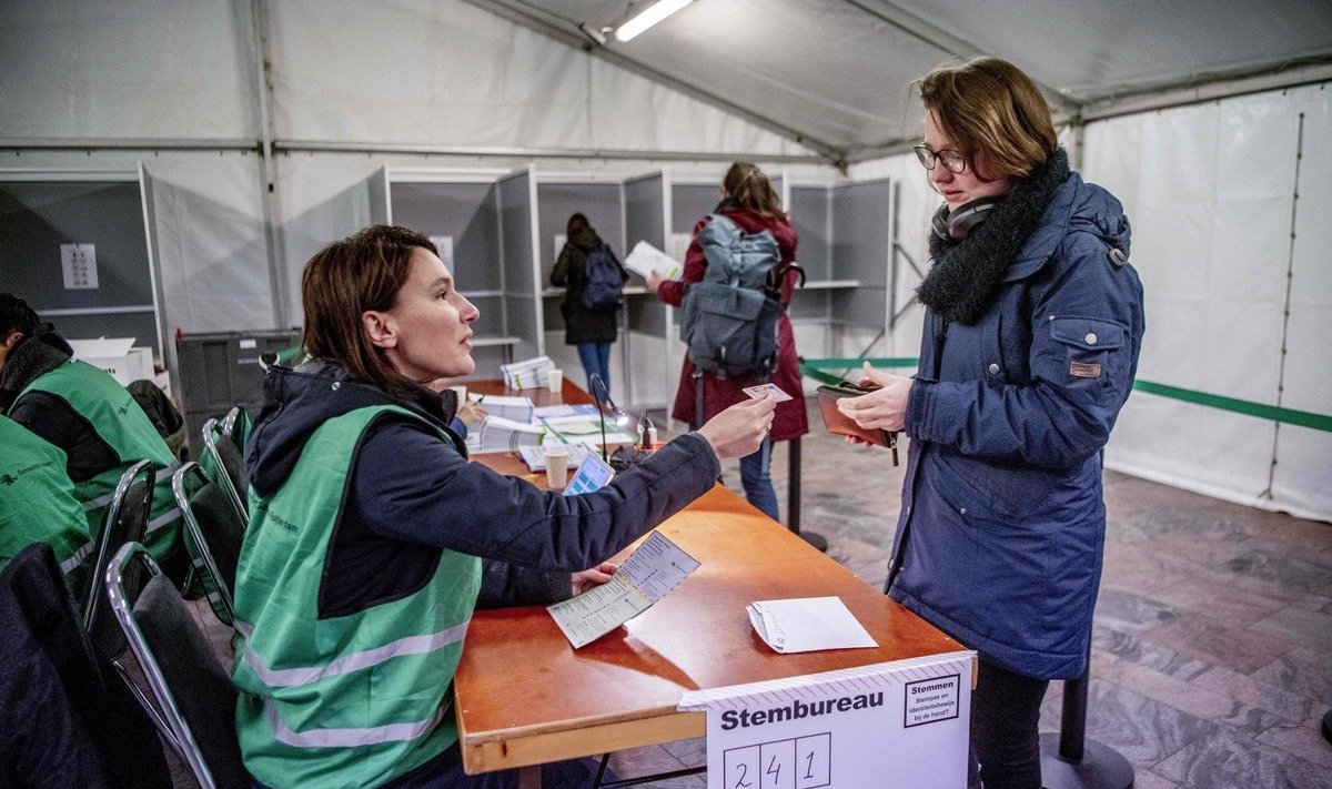 Olandai balsuoja provincijų rinkimuose