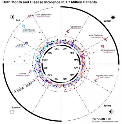 Niujorko gyventojų sergamumas skirtingomis ligomis priklausomai nuo gimimo mėnesio (Kolumbijos universiteto iliustr.)