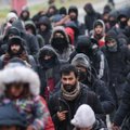 Buvęs ambasadorius Baltarusijoje palaiko Merkel: migrantų mirtys smogtų per mūsų europietišką tapatybę