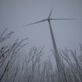Vėjo jėgainių parkai pernai elektros pagamino daugiau nei milijonui gyventojų