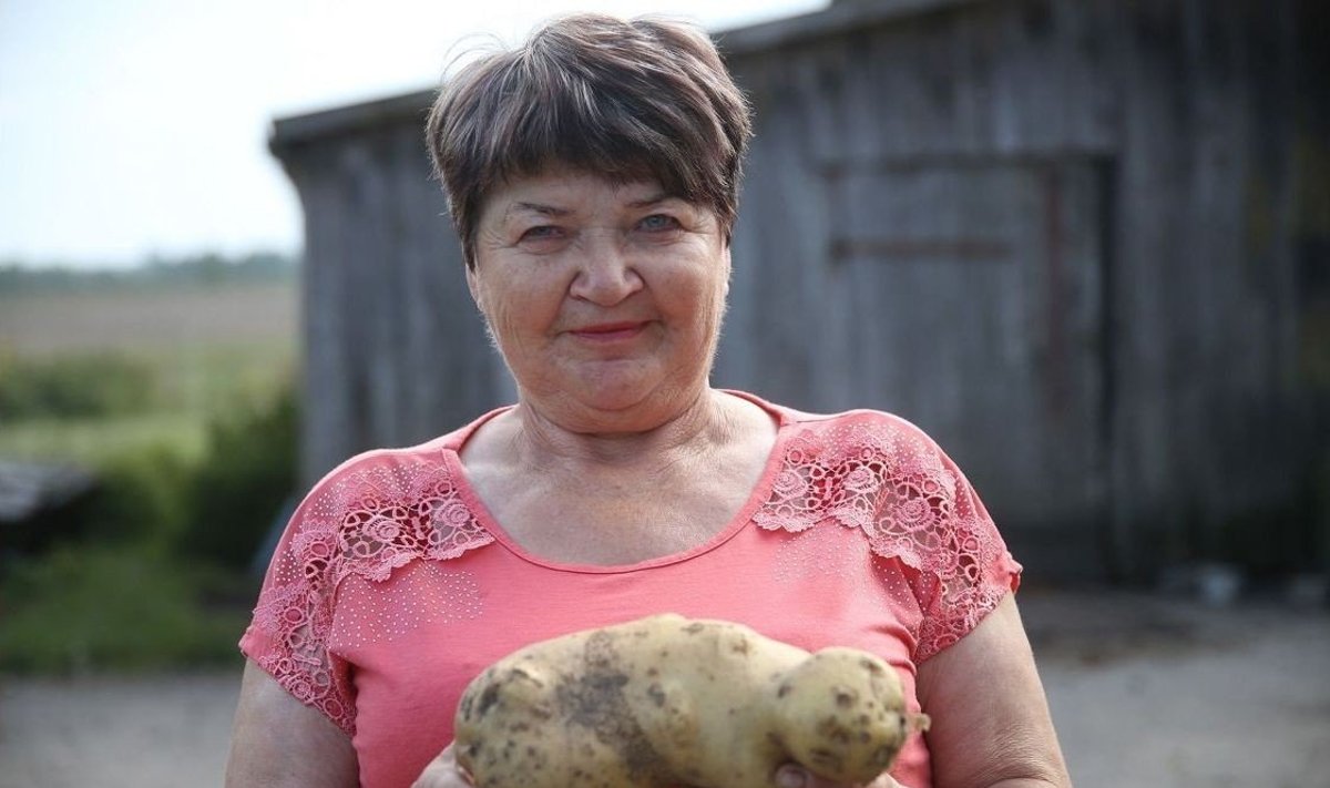 Gigantiška bulvė