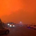 Природные пожары на юго-востоке Австралии: тысячи жителей спасаются от огня на пляжах, есть жертвы