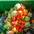 Specialistai įspėja: atėjo laikas mažinti augalinės kilmės maisto atliekas