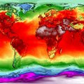 Тревожный рекорд: 2023 год стал самым теплым с начала наблюдений