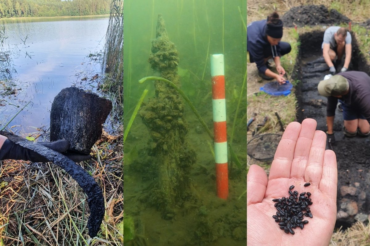 På bunnen av en innsjø i Litauen – en imponerende oppdagelse av arkeologer: de oppdaget en bosetning mer enn 2500 år gammel