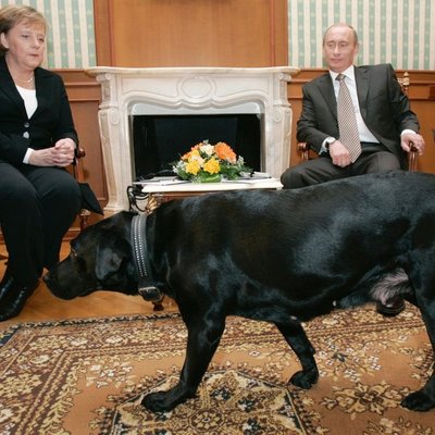 Angela Merkel, Vladimiras Putinas ir jo šuo