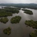 Brazilijoje dėl nelegalaus Amazonijos miškų kirtimo areštuota 19 žmonių
