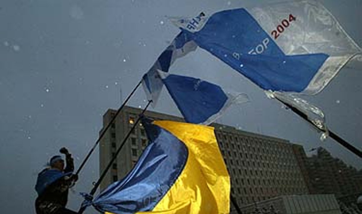 Viktoro Janukovičiaus šalininkas Kijeve