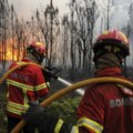 Didžiausi miškų gaisrai Portugalijoje jau suvaldyti