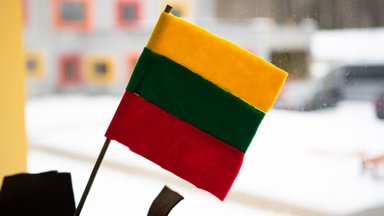 Artėja metas svarbiam sprendimui: referendumas dėl pilietybės išsaugojimo nulems tūkstančių lietuvių ryšį su Lietuva