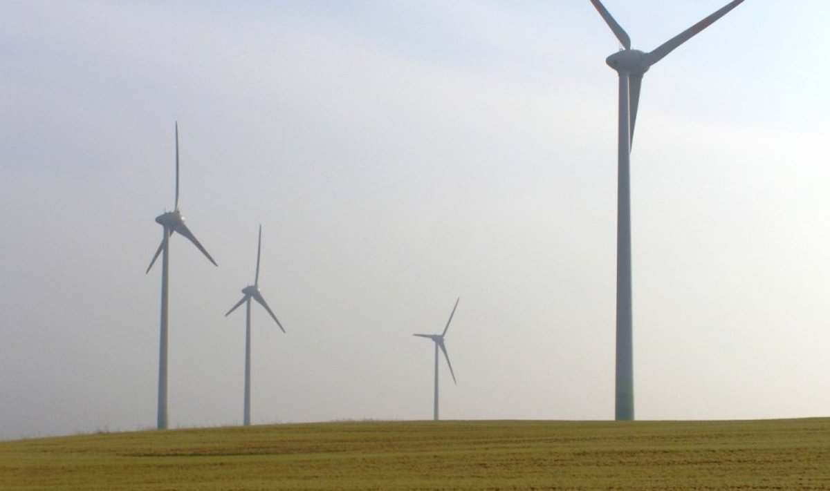 Vėjo jėgainės turi įtaką tam tikroms gyvūnų rūšims