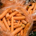 Ūkininkų sandėliuose pūva morkos: baiminamasi lenkiškos produkcijos