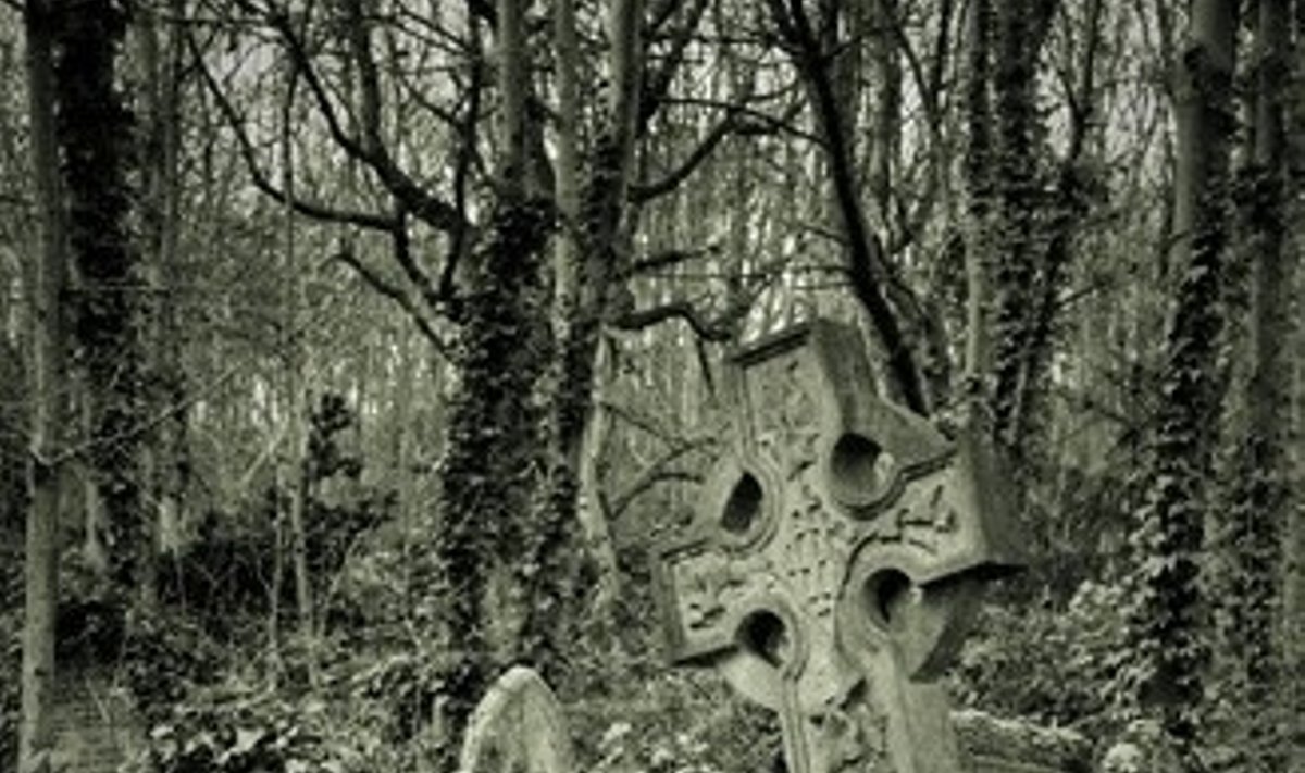 Highgate kapinės