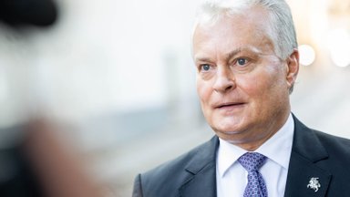 Президент Литвы о кандидате в еврокомиссары: в публичном пространстве вопрос поднимается упрощенно