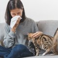 Išmanūs pagalbininkai turintiems alergijas: nuo simptomų atpažinimo iki oro taršos stebėjimo