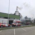 PAGD vadovas: degusioje „Klaipėdos mediena“ pažeidimų nebuvo nustatyta