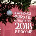 ФИФА запретила Чичериной выступать для болельщиков во время ЧМ-2018
