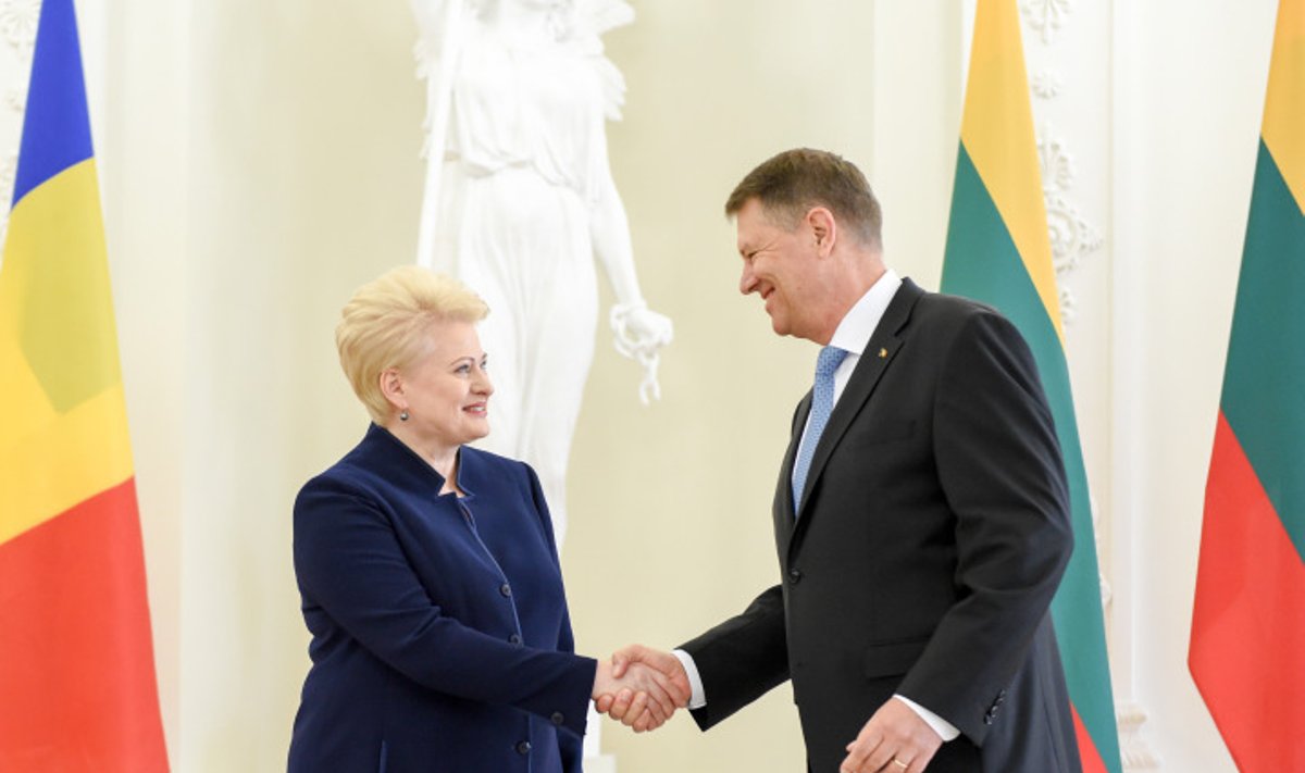 Dalia Grybauskaitė, Klausas Iohannisas