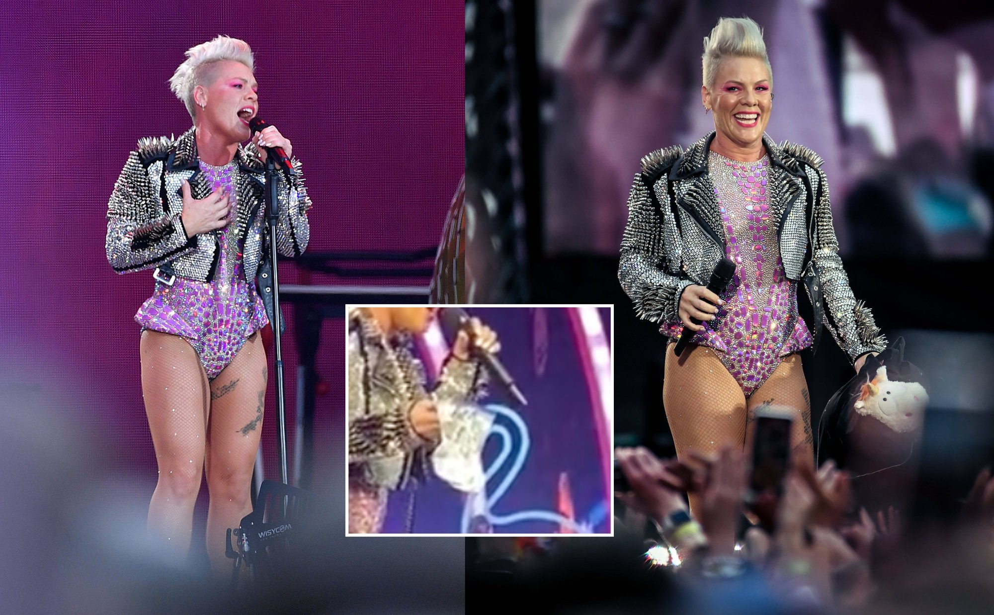 Kjendisfans glemte alle grenser: &laquo;gaven&raquo; gitt til artisten Pink sjokkerte Internett-brukere