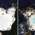 Klimato kaita įteikė „dovaną“ Antarktidai: NASA parodė, kas liko iš snieguotos salos