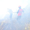 Indonezijoje dėl miškų gaisrų areštuota beveik 200 asmenų