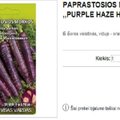 Siūloma įsigyti violetinės spalvos paprastųjų morkų