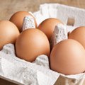 Lietuviškus kiaušinių produktus galima eksportuoti į Pietų Afrikos Respubliką