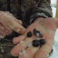 Į Čeliabinską plūsta meteorito dalelių medžiotojai