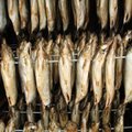 Žuvies pardavėjai: kritę pardavimai varo į neviltį