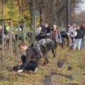 Vilniaus meras V. Benkunskas kviečia į sodinimo talką Karoliniškėse – kurkime žalesnę sostinę kartu